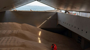 Scholz: Deutschland will ukrainische Getreidelieferungen zus&auml;tzlich unterst&uuml;tzen