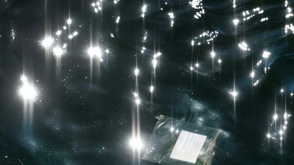 Arktis &auml;hnlich stark mit Plastikm&uuml;ll verschmutzt wie andere Regionen