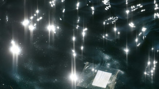 Arktis &auml;hnlich stark mit Plastikm&uuml;ll verschmutzt wie andere Regionen