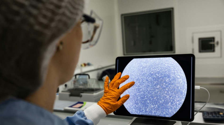 Cicatriser les plaies s&eacute;v&egrave;res: les pansements font leur r&eacute;volution