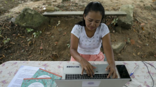 Au Br&eacute;sil, sur les t&eacute;l&eacute;phones, des langues indig&egrave;nes (enfin) en toutes lettres