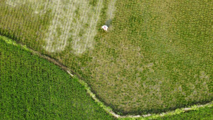 Unos 1,8 billones de d&oacute;lares de subvenciones anuales contribuyen a la destrucci&oacute;n del planeta