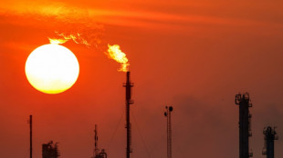 Opep+ volta a aumentar sua produção de petróleo 