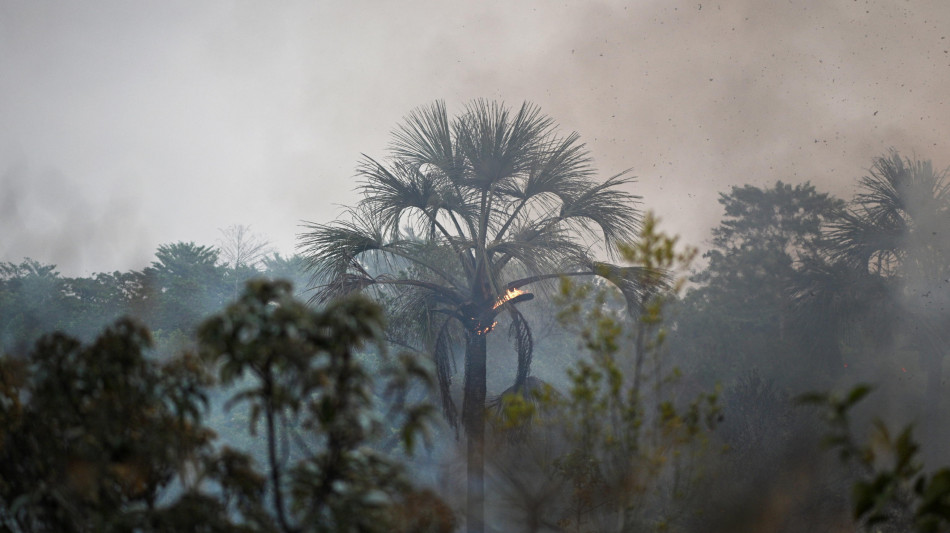 In Brasile citt&agrave; con livelli di umidit&agrave; bassi come nel Sahara