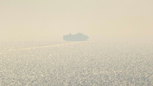 Kiev d&eacute;fie Moscou avec un navire cargo en mer Noire