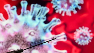 Covid-19: une maladie sans doute jamais &eacute;radiqu&eacute;e et d'autres &agrave; venir