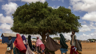 Nearly half the world's children exposed to three or more climate risks: UNICEF 