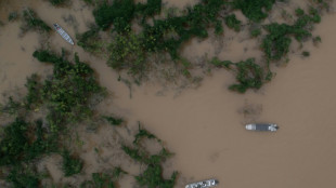 La vall&eacute;e de Javari, axe strat&eacute;gique du narcotrafic en Amazonie br&eacute;silienne