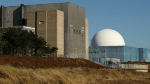 Britische Regierung gibt gr&uuml;nes Licht f&uuml;r Bau von Atomkraftwerk Sizewell C