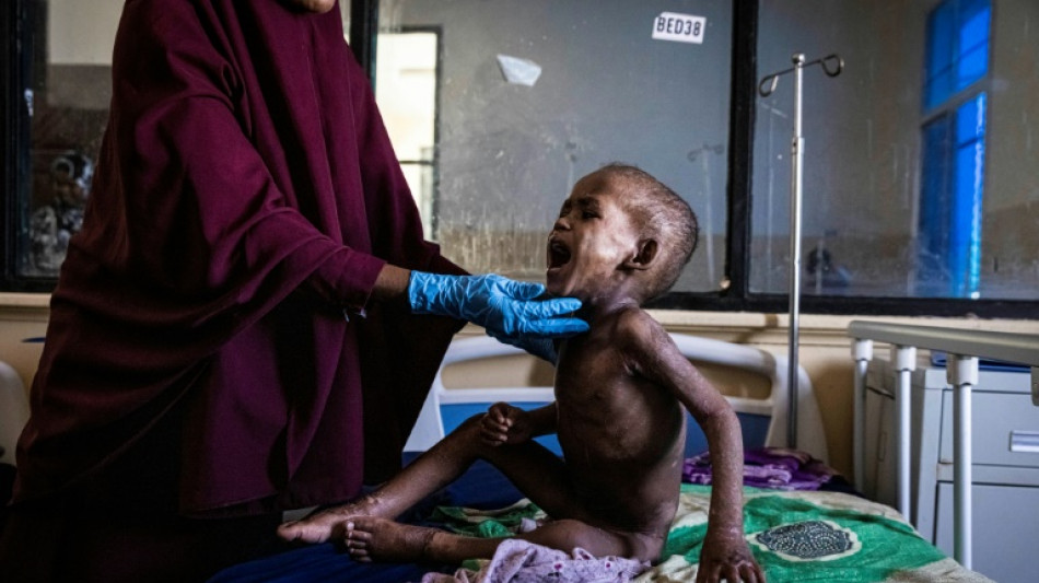 El papa pide ayuda para luchar contra la sequ&iacute;a que asola Somalia 