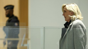 Proc&egrave;s RN: la d&eacute;fense de Marine Le Pen plaide contre "l'&eacute;limination politique"