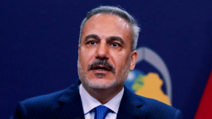 Au&szlig;enminister muslimischer Staaten beraten &uuml;ber Friedensplan f&uuml;r Gazastreifen