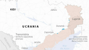 Ucrania dice que frustr&oacute; 55 ataques rusos en la regi&oacute;n oriental de Donetsk