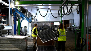Pr&egrave;s de Bordeaux, le pari du recyclage des panneaux solaires