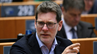 Gripe avi&aacute;ria no Brasil: deputado europeu alerta sobre sistema de controle deficiente