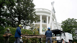 Trump plants 'MAGAnolia' to replace 200-year-old tree