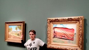 Une militante en garde &agrave; vue apr&egrave;s une action contre un Monet au mus&eacute;e d'Orsay