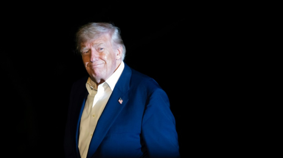 Trump seeks 'major' probe of celebs who backed Harris  