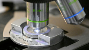 Sant&eacute;: o&ugrave; est pass&eacute; le plan contre l'infertilit&eacute; ?