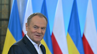 Le Kremlin juge "infond&eacute;e" l'accusation polonaise concernant des "actes de terreur" a&eacute;riens 