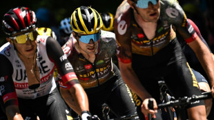 Roglic steigt aus Tour aus - zwei weitere Coronaf&auml;lle