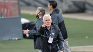 Amical: le s&eacute;lectionneur de l'Afrique du Sud heureux de s'&eacute;talonner face aux Bleus 