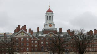 Universidade de Harvard processa governo Trump por cortes no financiamento