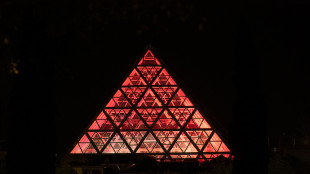 Cocoric&ograve; Riccione lancia il primo museo ospitato in un club