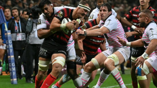 Top 14: Toulouse à la fête et leader, Pau dauphin, premier point pour Perpignan