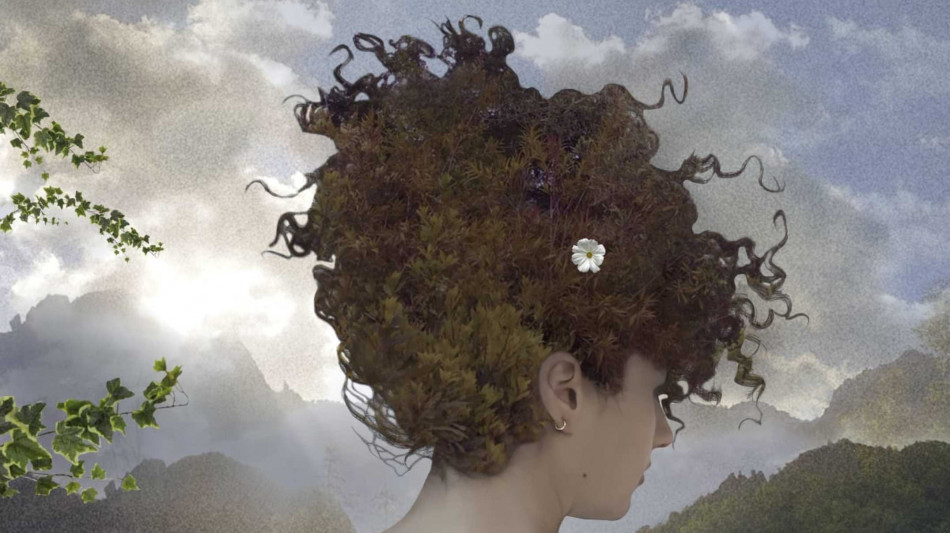 Giusto, vero o bugia? La risposta al Lucania Film Festival