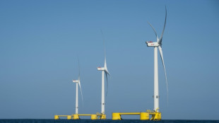 Parcs &eacute;oliens en M&eacute;diterran&eacute;e: deux laur&eacute;ats d&eacute;sign&eacute;s