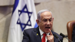 'Netanyahu, met&agrave; degli ostaggi in vita, altri 50 sono morti'