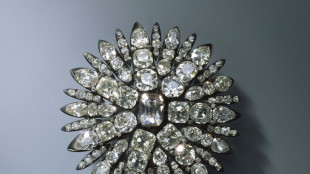 Siebter Verd&auml;chtiger nach Einbruch in Dresdner Gr&uuml;nes Gew&ouml;lbe gefasst