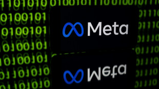 Donn&eacute;es personnelles: l'abonnement de Meta vis&eacute; par une plainte en Autriche