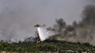 Canicule: la Gr&egrave;ce en "vigilance absolue", l'Acropole de nouveau ferm&eacute;e