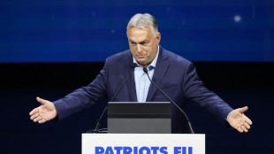 Orban riceve Weidel, 'il futuro della Germania &egrave; dell'Afd'