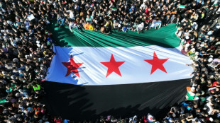 Multid&atilde;o comemora a queda de Assad em Damasco