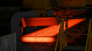 Gr&uuml;nen-Chef unterst&uuml;tzt SPD-Vorhaben zur F&ouml;rderung von Stahl aus Europa