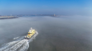 Compagnia Gb, 'colpite navi cargo nello Stretto di Hormuz'