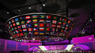 A Doha, la Fifa ouvre son Congr&egrave;s avec des divisions &agrave; surmonter