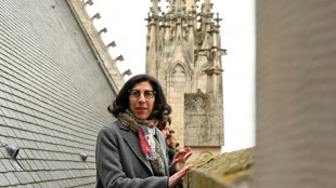 Incendie de Notre-Dame: l'Etat investit 220 millions d'euros pour les cath&eacute;drales