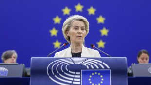 Von der Leyen, 'vogliamo intesa con Usa ma pronti a tutto'