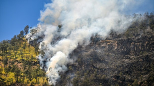 Indon&eacute;sie : un parc national ferm&eacute; &agrave; Java o&ugrave; des incendies se propagent  