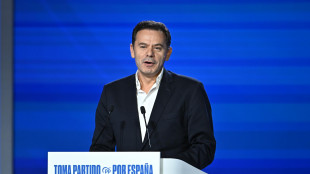 Lisbona prevede di riconoscere lo Stato di Palestina a settembre