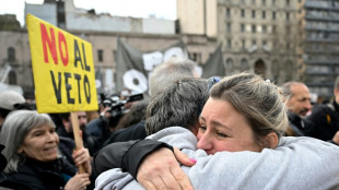 Deputados na Argentina rejeitam veto de Milei a fundos para pessoas com deficiência; falta Senado