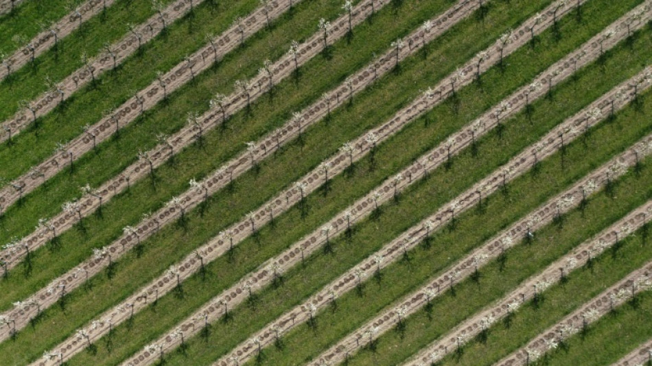 EU-Parlament beschlie&szlig;t Z&ouml;lle auf D&uuml;ngemittel aus Russland