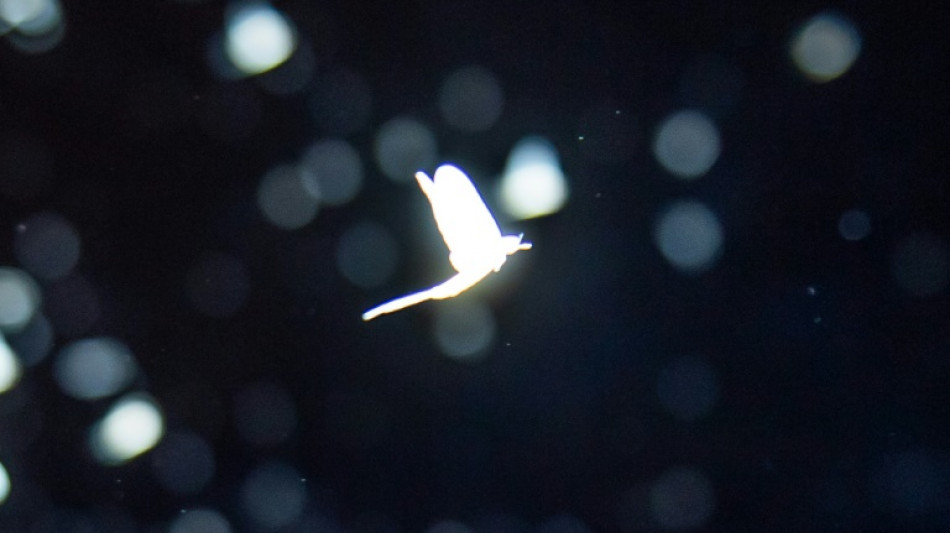 Oser la nuit: le monde de l'obscurit&eacute; veut se faire entendre