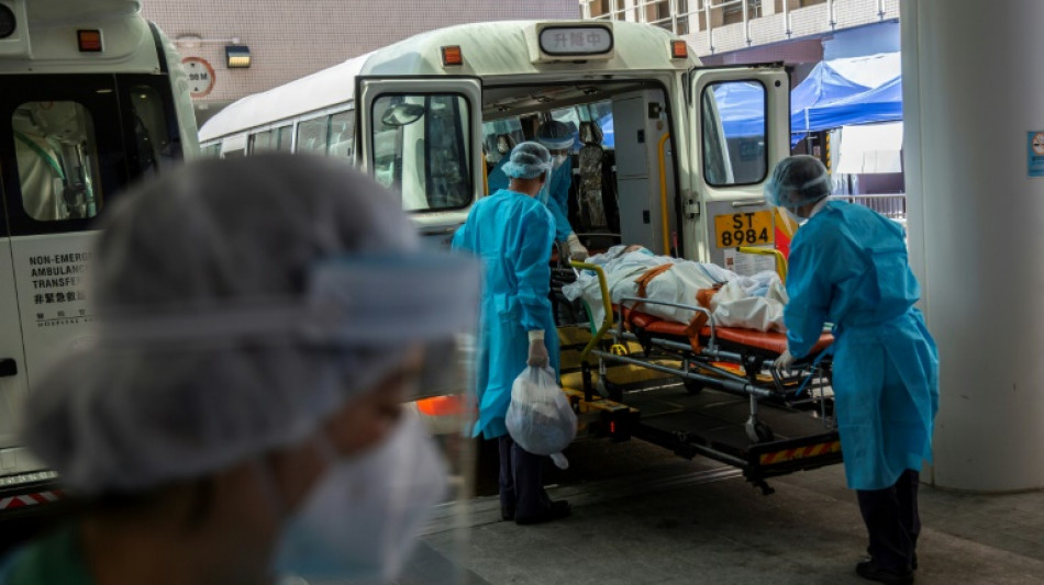 M&aacute;s de 18 millones de muertos relacionados con el covid-19, seg&uacute;n un estudio