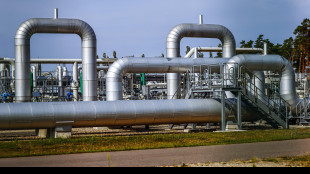 Il prezzo del gas apre in aumento a 34,48 euro