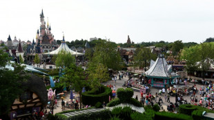 Francia imputa a un brit&aacute;nico por fingir una boda con una menor en Disneyland